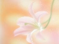 崇文2013届四年三班蔡昕芮《草原上的小木屋》个性化细读